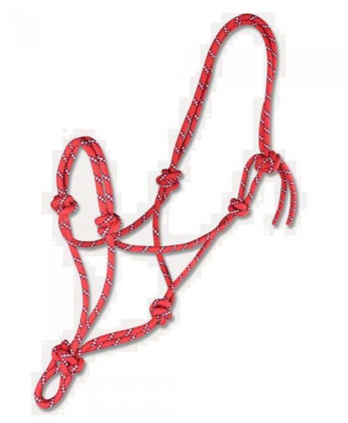 Knotted Rope Halter Red and Dark Blue
